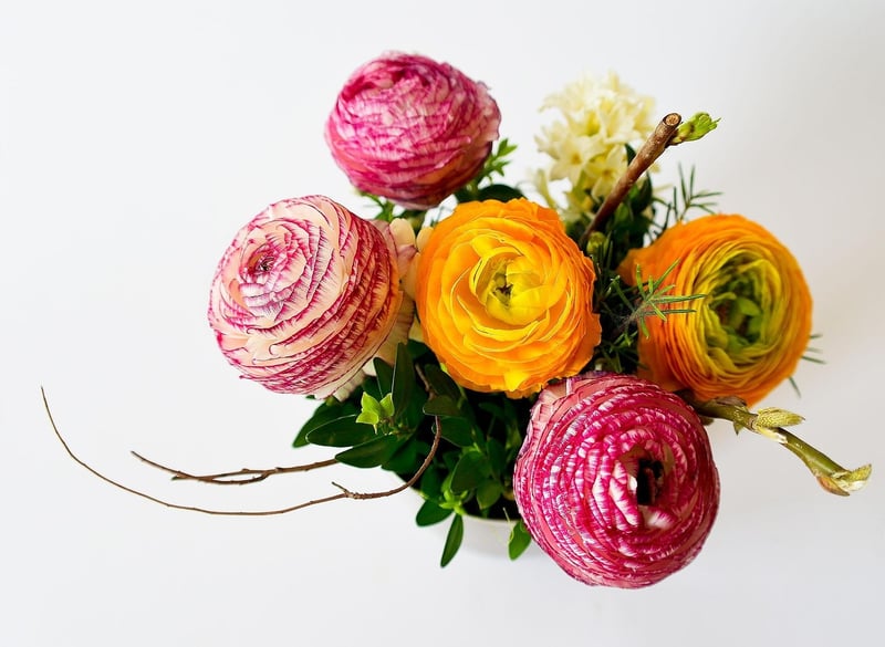 Creative Plant Arrangements